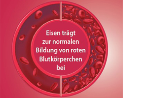 EISEN DIREKT plusz C-vitamin+folsav+B12 por, 60 db