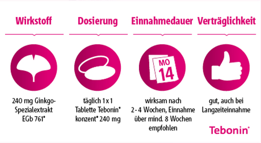 TEBONIN koncentr 240 mg filmtabletta, 120 db