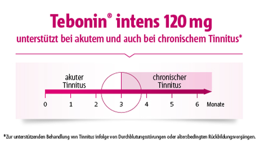 TEBONIN intenzív 120 mg filmtabletta, 120 db