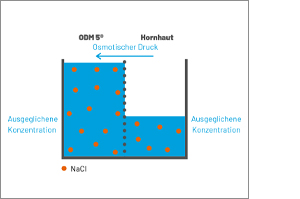 ODM 5 szemcsepp, 1X10 ml