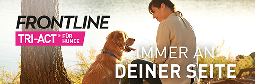 FRONTLINE Tri-Act cseppentős oldat 10-20 kg-os kutyáknak, 3 db