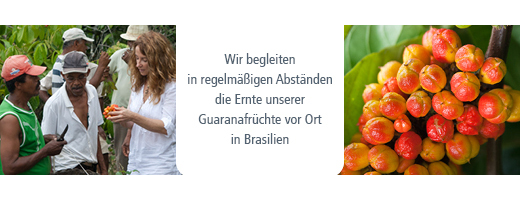 GUARANA POR, 100 g