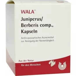 JUNIPERUS/BERBERIS komp. kapszula, 90 db