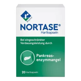 NORTASE kapszula, 20 db