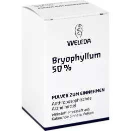 BRYOPHYLLUM 50% Orális por, 20 g