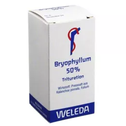 BRYOPHYLLUM 50% Orális por, 20 g