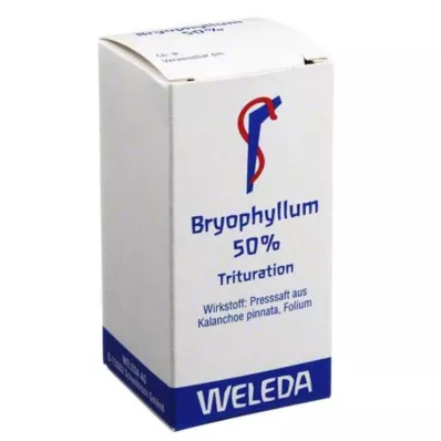 Bryophyllum 50% belsőleges por, 20 g Bryophyllum 50% belsőleges por, 20 g