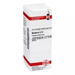 BERBERIS D 12 Hígítás, 20 ml