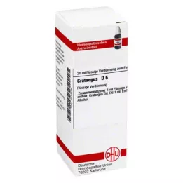 CRATAEGUS D 6 Hígítás, 20 ml