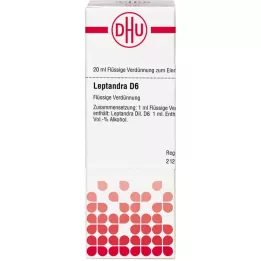 LEPTANDRA D 6 Hígítás, 20 ml