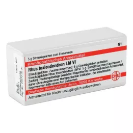 RHUS TOXICODENDRON LM VI Gömböcskék, 5 g
