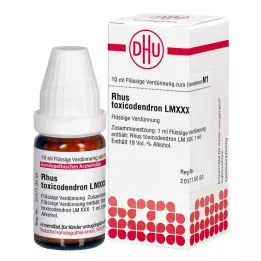 RHUS TOXICODENDRON LM XXX Hígítás, 10 ml