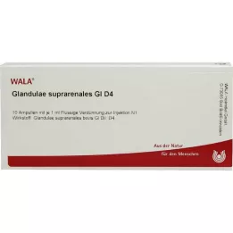 GLANDULAE SUPRARENALES GL D 4 ampulla, 10X1 ml