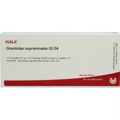 Glandulae suprarenalis GL D 4 ampulla, 10X1 ml