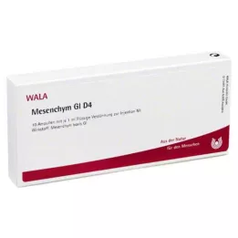 MESENCHYM GL D 4 ampulla, 10X1 ml
