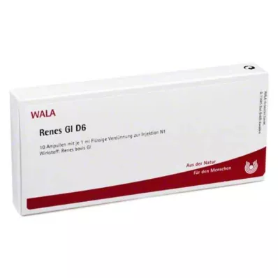 RENES GL D 6 ampulla, 10X1 ml
