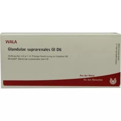 GLANDULAE SUPRARENALES GL D 6 ampulla, 10X1 ml