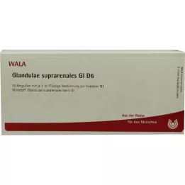 GLANDULAE SUPRARENALES GL D 6 ampulla, 10X1 ml
