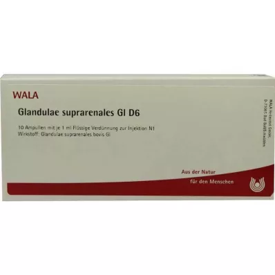 GLANDULAE SUPRARENALES GL D 6 ampulla, 10X1 ml