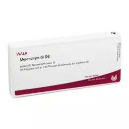 MESENCHYM GL D 6 ampulla, 10X1 ml