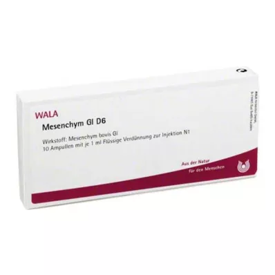 MESENCHYM GL D 6 ampulla, 10X1 ml