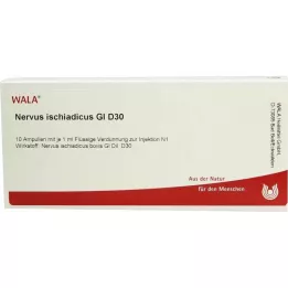 NERVUS ISCHIADICUS GL D 30 ampullák, 10X1 ml