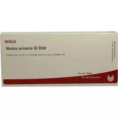 VESICA URINARIA GL D 30 ampullák, 10X1 ml