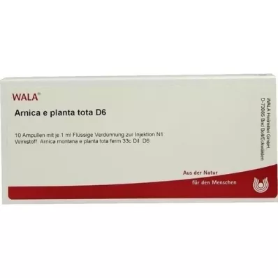 ARNICA E Planta tota D 6 ampulla, 10X1 ml