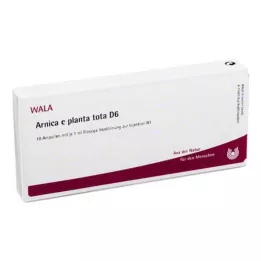 ARNICA E Planta tota D 6 ampulla, 10X1 ml