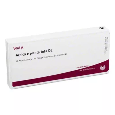 Arnica E Planta tota D6 ampulla, 10X1 ml Arnica E Planta tota D6 ampulla, 10X1 ml