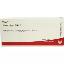 MESENCHYM GL D 12 Ampulla, 10X1 ml