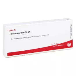BINDEGEWEBE GL D 6 ampulla, 10X1 ml