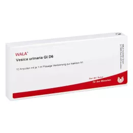 VESICA URINARIA GL D 6 ampulla, 10X1 ml