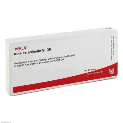 Apis ex animale GL D 6 ampulla, 10X1 ml Apis ex animale GL D 6 ampulla, 10X1 ml