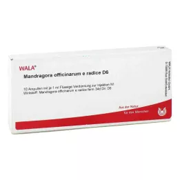 MANDRAGORA OFFICINARIUM e radice D 6 Ampullák, 10X1 ml