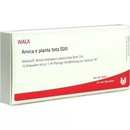 ARNICA E Planta tota D 20 ampulla, 10X1 ml