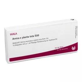 ARNICA E Planta tota D 20 ampulla, 10X1 ml