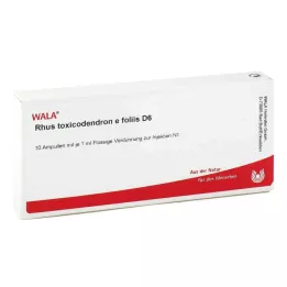 RHUS TOXICODENDRON E foliis D 6 ampulla, 10X1 ml