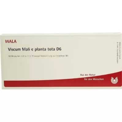 VISCUM MALI e planta tota D 6 ampulla, 10X1 ml