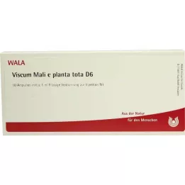 VISCUM MALI e planta tota D 6 ampulla, 10X1 ml