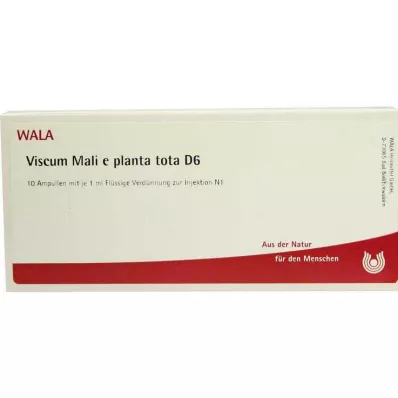 VISCUM MALI e planta tota D 6 ampulla, 10X1 ml