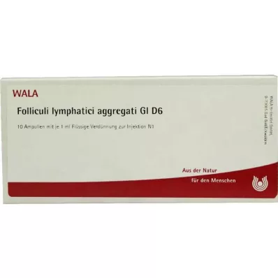 Folliculi lymphatici aggregati GL D 6 ampulla, 10X1 ml Folliculi lymphatici aggregati GL D 6 ampulla, 10X1 ml
