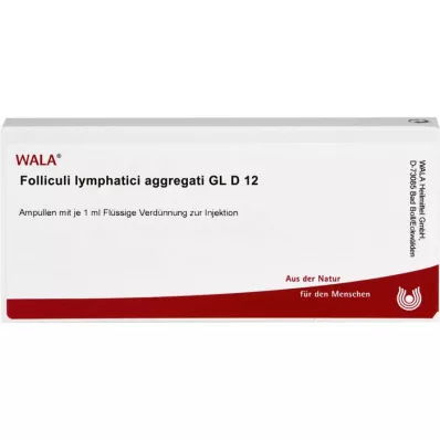 FOLLICULI LYMPHATICI aggregát GL D 12 ampulla, 10X1 ml