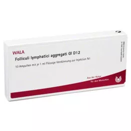 FOLLICULI LYMPHATICI aggregát GL D 12 ampulla, 10X1 ml