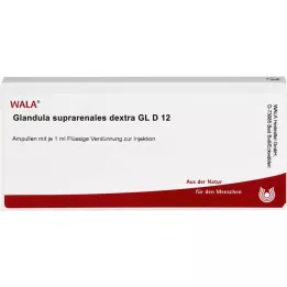 GLANDULA SUPRARENALES dextra GL D 12 ampulla, 10X1 ml