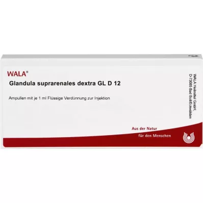 GLANDULA SUPRARENALES dextra GL D 12 ampulla, 10X1 ml