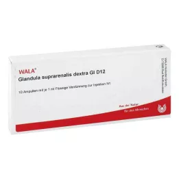 GLANDULA SUPRARENALES dextra GL D 12 ampulla, 10X1 ml