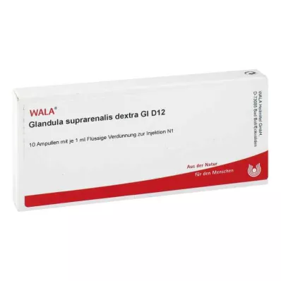 Szuprarenális mirigy.Dextra Gl D12 ampulla (10x1 ml)