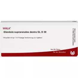 GLANDULA SUPRARENALES dextra GL D 30 ampulla, 10X1 ml