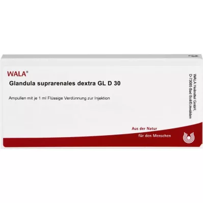 GLANDULA SUPRARENALES dextra GL D 30 ampulla, 10X1 ml